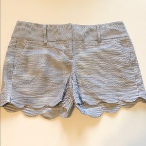 ann taylor scallop shorts
